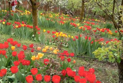 Casă cu 3 camere în Exterior Vest - 6