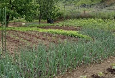 Casă cu 3 camere în Central - 5