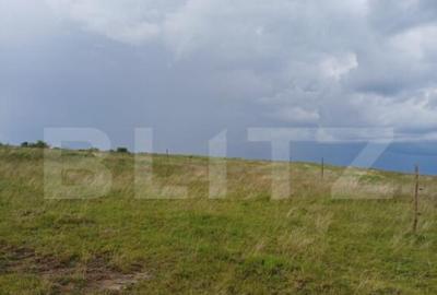 Teren de 1249 mp, în Copăceni - 6