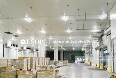 Mures City Logistic, spatii industriale, 2000 - 12.000mp,... - 5