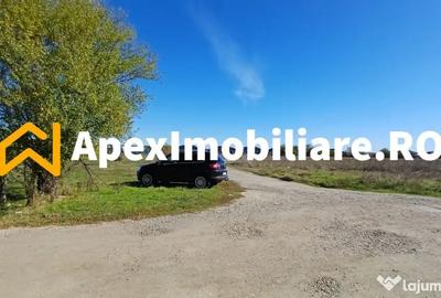 Teren în Corbeanca - 15