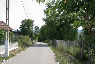Spațiu comercial, în Valea Danului - 5