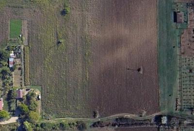 Spațiu comercial, în Nufărul - 2