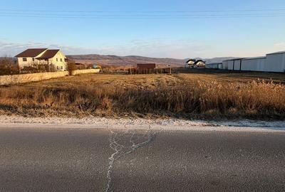 Teren de 1000 mp, în Buhoci - 12