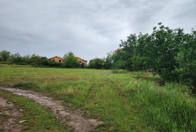 Teren Construcții extravilan de 1000 mp, în Giroc - 3