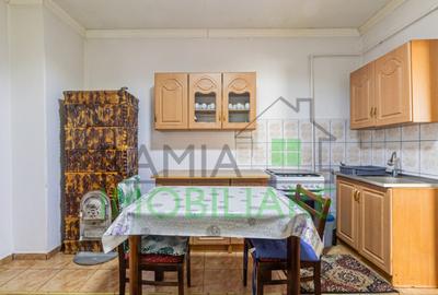 Casa primitoare in Satulung, Sacele curte generoasa ? - 10