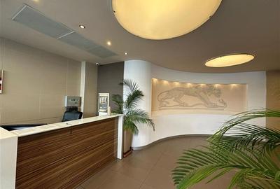 Birouri in cladirea Domus II Office Building - 3