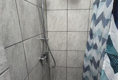 Apartament cu 2 camere în Tătărași - 4