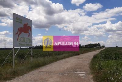 Teren de 715 mp, în Snagov - 7