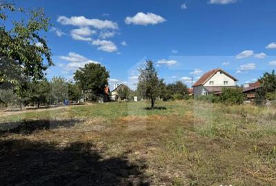 Casă cu 5 camere cu Teren 1909 Mp în Șag - 2