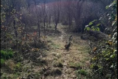 Teren Construcții intravilan de 2000 mp, în Telega - 3