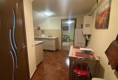 Apartament 1 camera in vila, 33 mp, curte privata, zona Parcul Armatura - 2