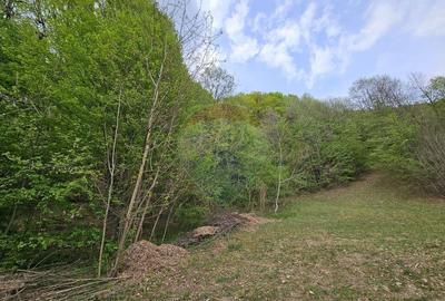 Teren superb, intravilan - la marginea padurii ! - 6