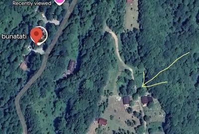 Teren de 526 mp, în Malaia - 2