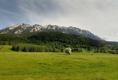 Teren Construcții intravilan de 3103 mp, în Plaiul Foii