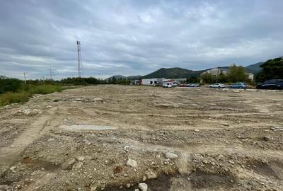 Teren intravilan, investie Hale Industriale, zona Est Teren intravilan, investie Hale Industriale, zona Est - 2