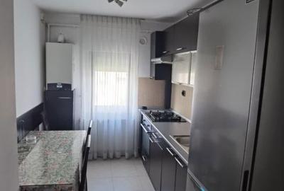 Apartament cu 2 camere semidecomandat în Craiovița Nouă - 6