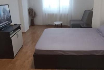 Proprietar inchiriez GARSONIERA decomandata, spațioasă, libera - 7