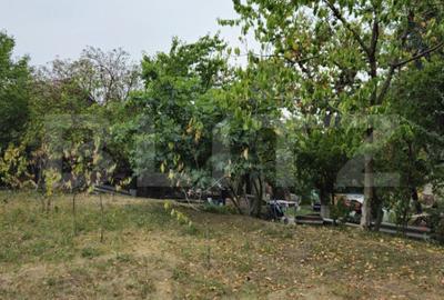 Teren de 17524 mp, în Viforâta - 3