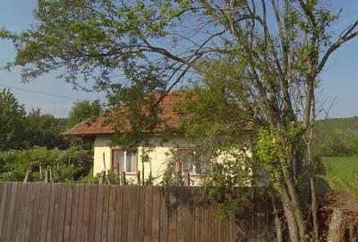 Casă cu 3 camere cu Teren 2000 Mp în Magherești - 8