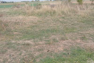 RECO Teren intravilan in Tarian RECO Teren intravilan in Tarian - 1