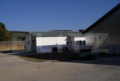 Hale si teren ,curte betonata , destinatii multiple - 1