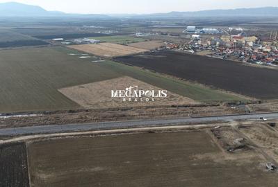 Teren Construcții intravilan de 500 mp, în Bod - 8