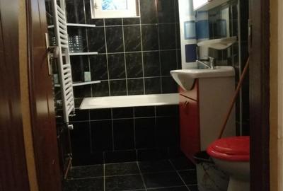 De vanzare apartament cu o camera in Calea Buzia?ului - 3