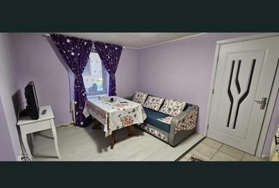 Apartament 2 camere curte Radauti - 2