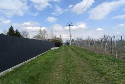Teren de 6000 mp, în Săucești - 2