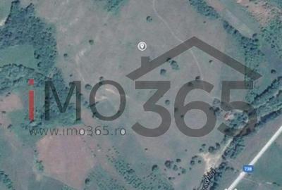 Teren de 150000 mp, în Mihăești - 4