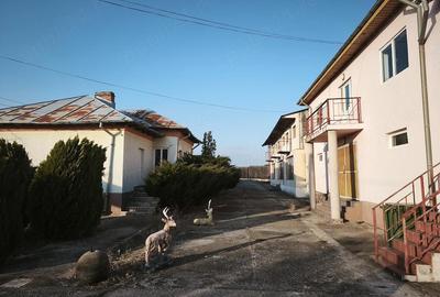 Casă cu 15 camere cu Teren 6500 Mp în Sutești - 9