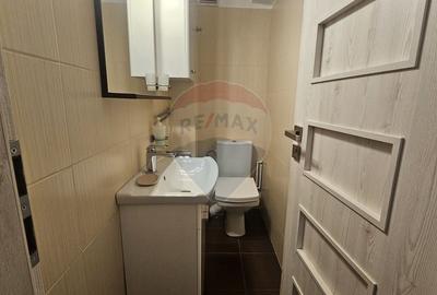 Apartament cu 3 camere decomandat, mobilat în Răcădău - 15