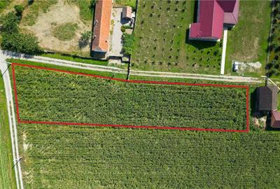 2.000mp intravilan, Bacel, zona linistita, intre Brasov si S - 5
