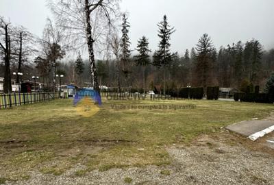 Teren investitie in strand Piatra Neamt - 2