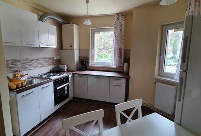 Apartament cu 2 camere în Grigorescu - 4