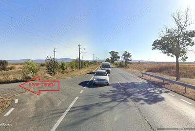 Teren de 20600 mp, în Cicir - 5