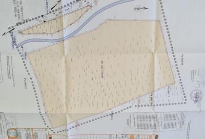 Teren superb intravilan cu PUZ  zona Rasnov Cheile Rasnoavei - 3