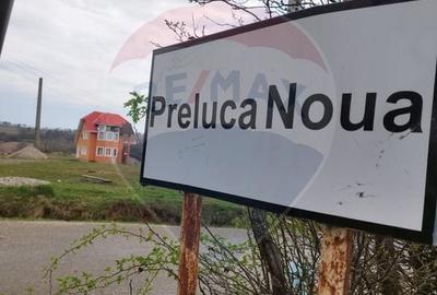 Casă individuală cu 7 camere cu Teren 8286 Mp în Preluca Nouă - 3