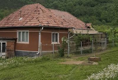 Vand casa cu 2  cam. +dependinte in Ceoasul de Campie Vand casa cu 2  cam. +dependinte in Ceoasul de Campie - 1