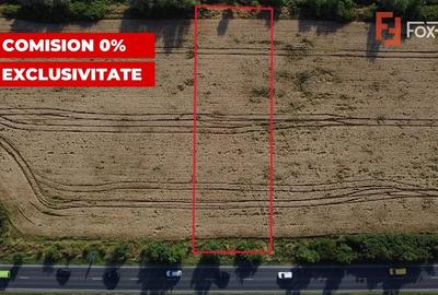 Teren Construcții intravilan de 1600 mp, în Pădureni (Jebel) - 3