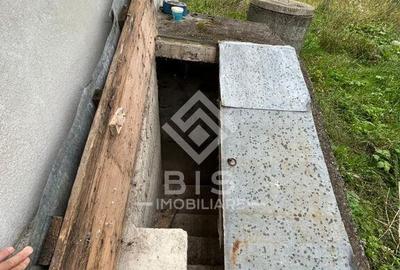 Casa de vanzare in localitatea Sintereag - 7