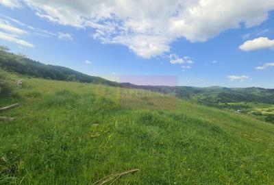 Teren agricol intravilan de 9037 mp, în Plaiul Tălii - 8