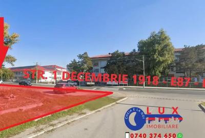 Teren de 20048 mp, în Isaccea - 6