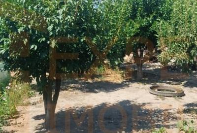 Casa in centrul Cobadinului, COMISION 0% - 15