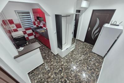 1 Cam-Sagului-5 Min Spitalul Judetean-Aer conditionat-Mobilat-33 MP- 65.000 Euro - 9