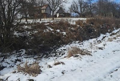 Teren Construcții extravilan de 26000 mp, în Valea Sicheviței - 5