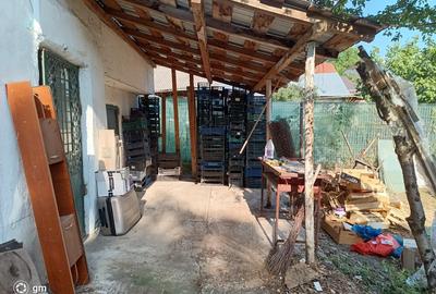 Carbunesti, Prahova - 19