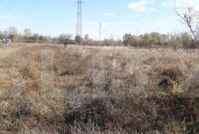 Teren 7240mp, zona Prelungirea Panduri - 7