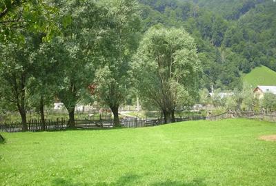 Vand teren intravilan localitatii Rucar, sat Satic, punct Caminul Casei, jud. Arges - 1